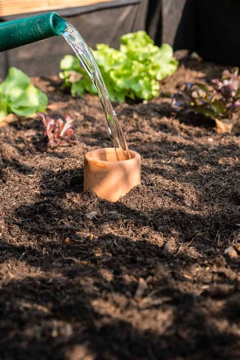 Home Gartenarbeit: Einfacher Jäten und Bewässern
